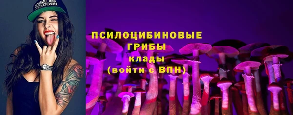 молекула духа Алексеевка