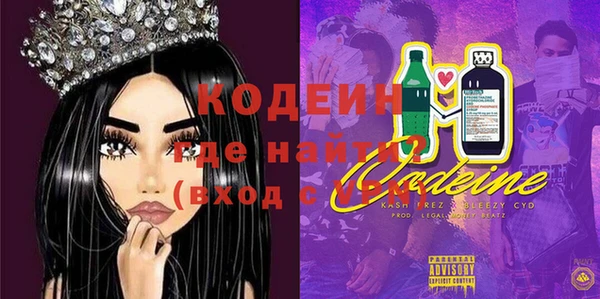 ECSTASY Алзамай