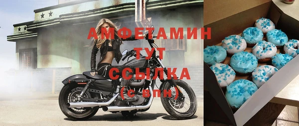 молекула духа Алексеевка